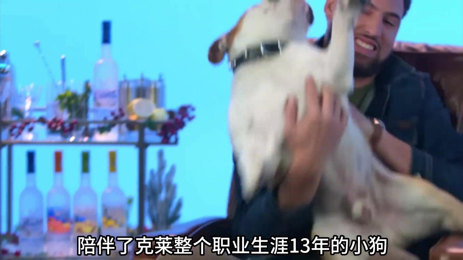 陪伴克萊13年的小狗去世了，不敢相信克萊得多么傷心